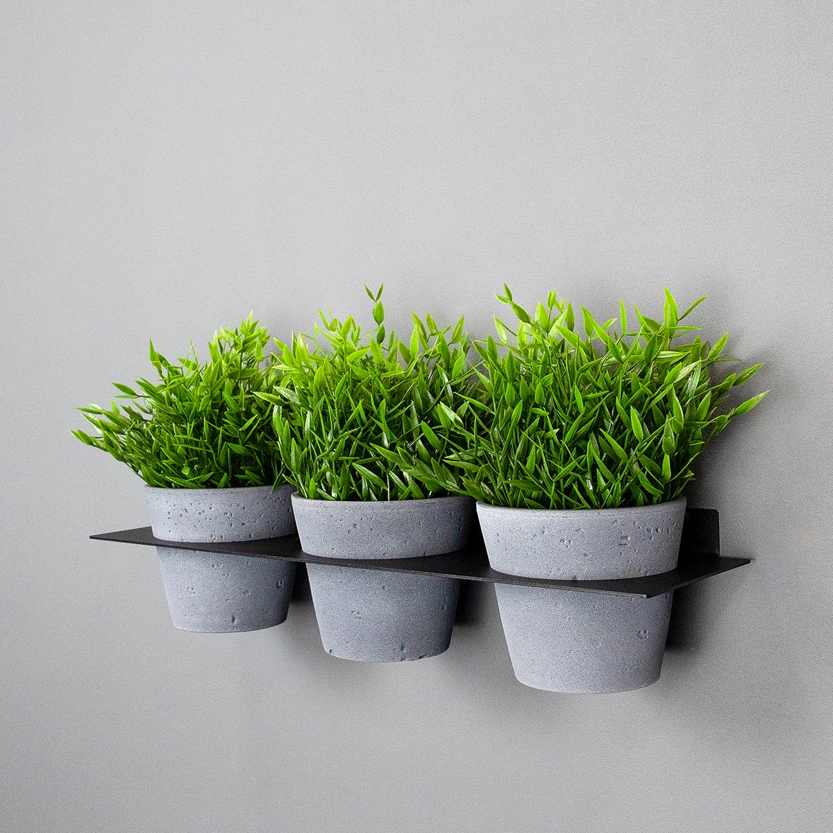 flatrack shelf flower – Dein Wandregal für Blumentöpfe!