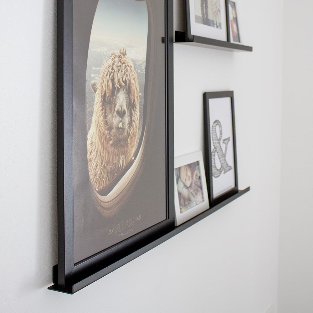 flatrack gallery 1000