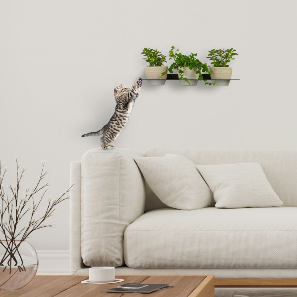 flatrack shelf flower - Blumenregal