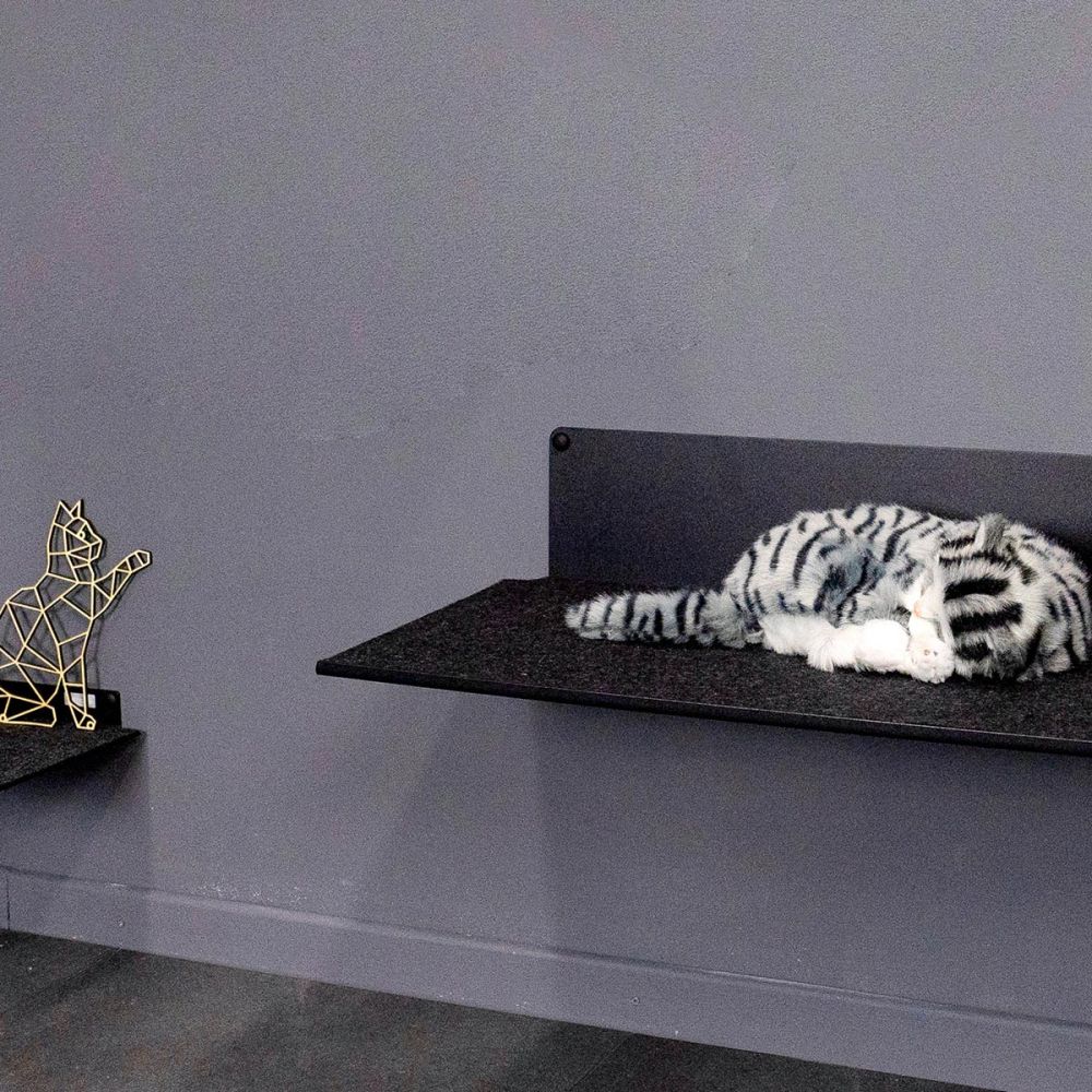 flatrack cats lounger - Katzenliegeplatz