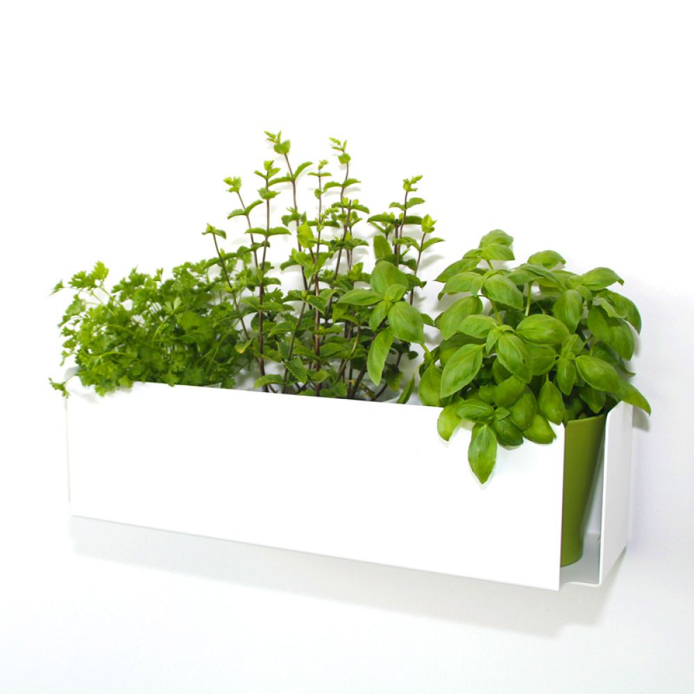 flatrack flower von Merklinger Design