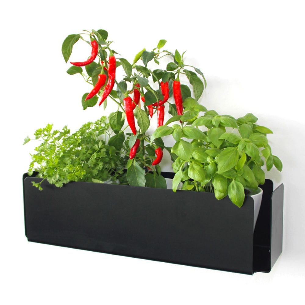 flatrack flower von Merklinger Design